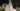 Screenshot 2024 03 11 at 4.55.11 PM
